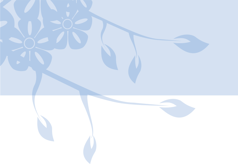 未分類